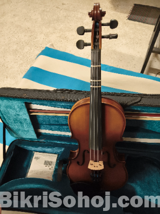 Valencia 4/4 Violin 4 strings